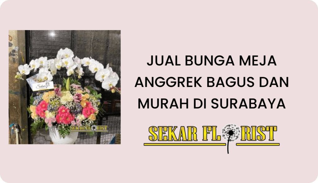 Jual Bunga Meja Anggrek Bagus Murah Surabaya